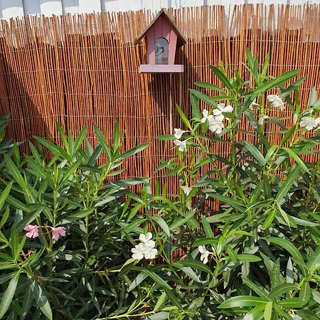 Petite Maison à 500 Mètres De La Au Coeur Du Parc Marin - Pays Catalan *